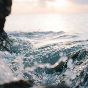 Meet your Posher, Calla